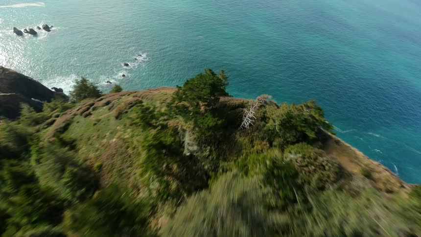 A dramatic FPV aerial shot where the camera dives through a patch of trees and down a cliff toward the ocean