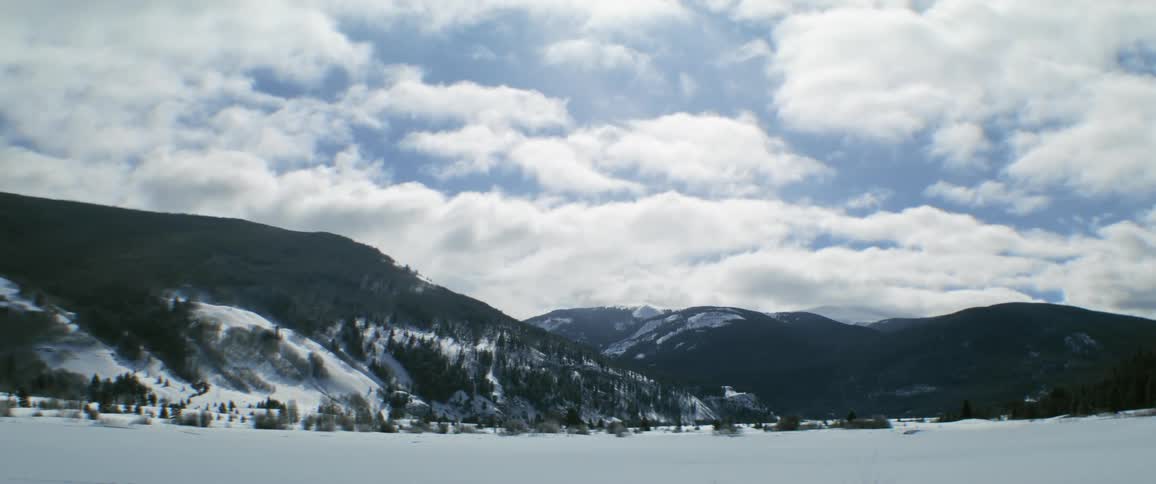 The view is of the nature in the winter area