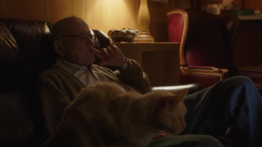 An elderly man reclines in a chair while contemplating and pets his orange cat
