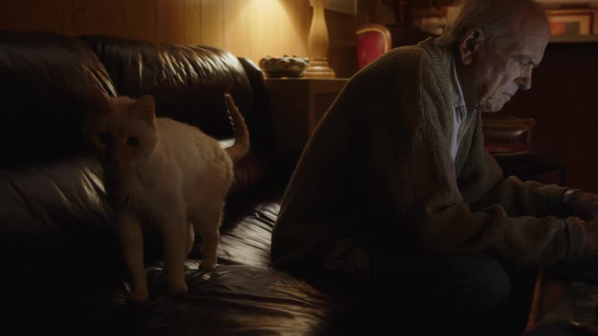 House cat stands near an elderly man sitting on a couch at home typing on a laptop