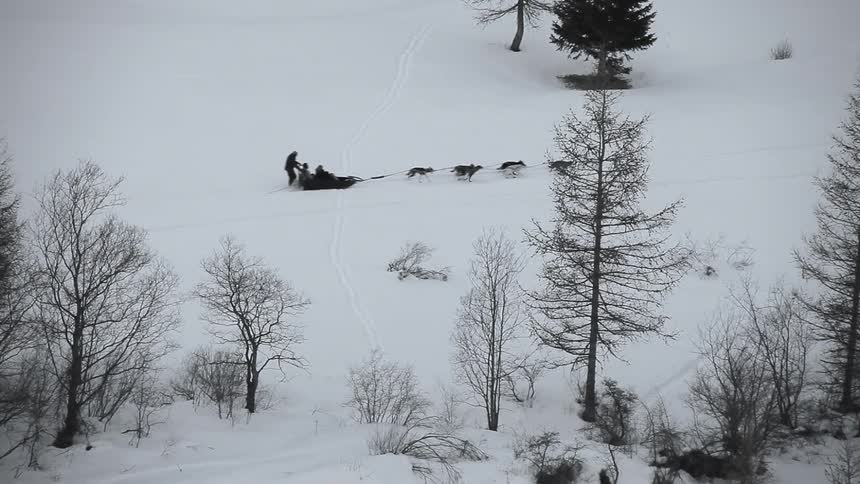 A man is riding a dog drug sled in the snow below