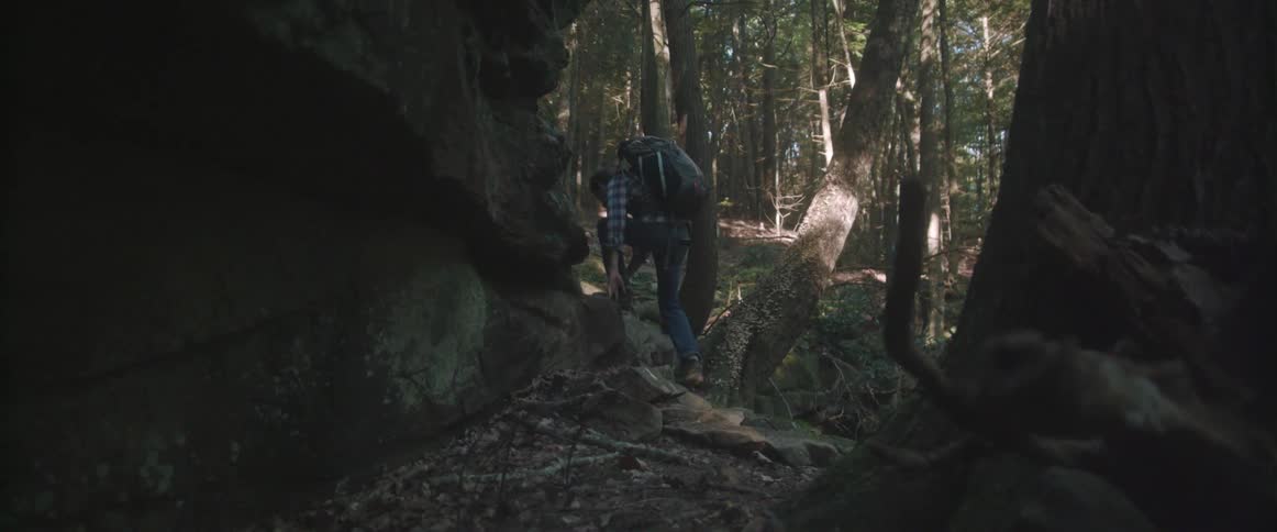 Man wearing a backpack hikes through the woods
