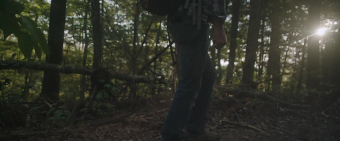 Hiker walking through the forest