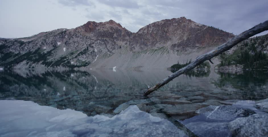 Dried fallen tree leans into reflective water at base of mountains