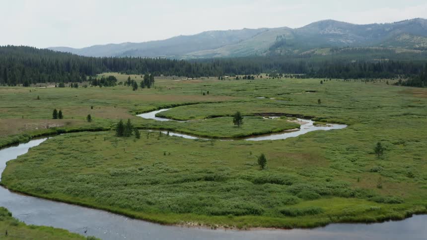 Aerial view of a grass landscape is displayed in spring
