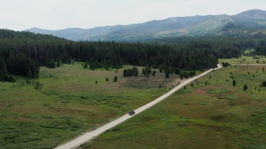 A vehicle drives along a dirt road that is carved through a stretch of wilderness