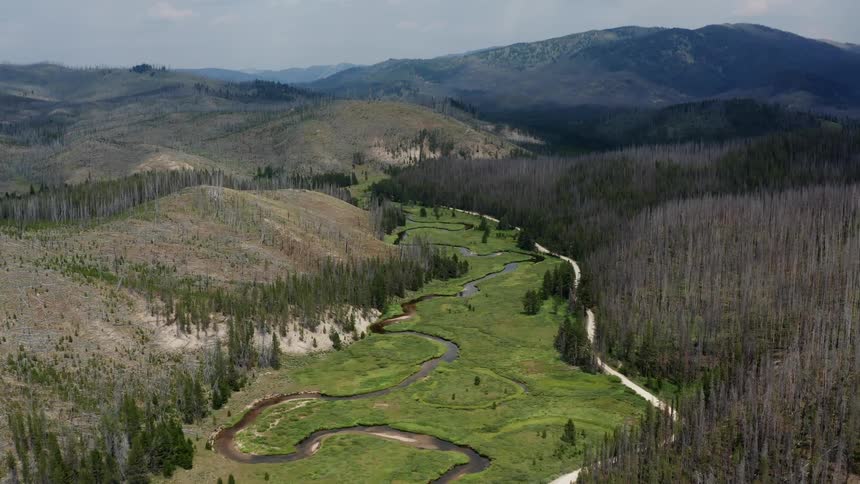 Aerial view of mountain valley colorado or wyoming with meandering stream