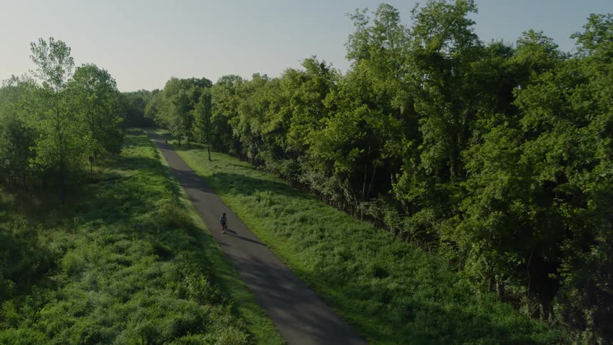 An aerial of a walking path along a dense green forest with a person and a dog walking