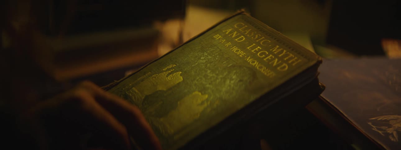 Close up view of someone holding a book indoors
