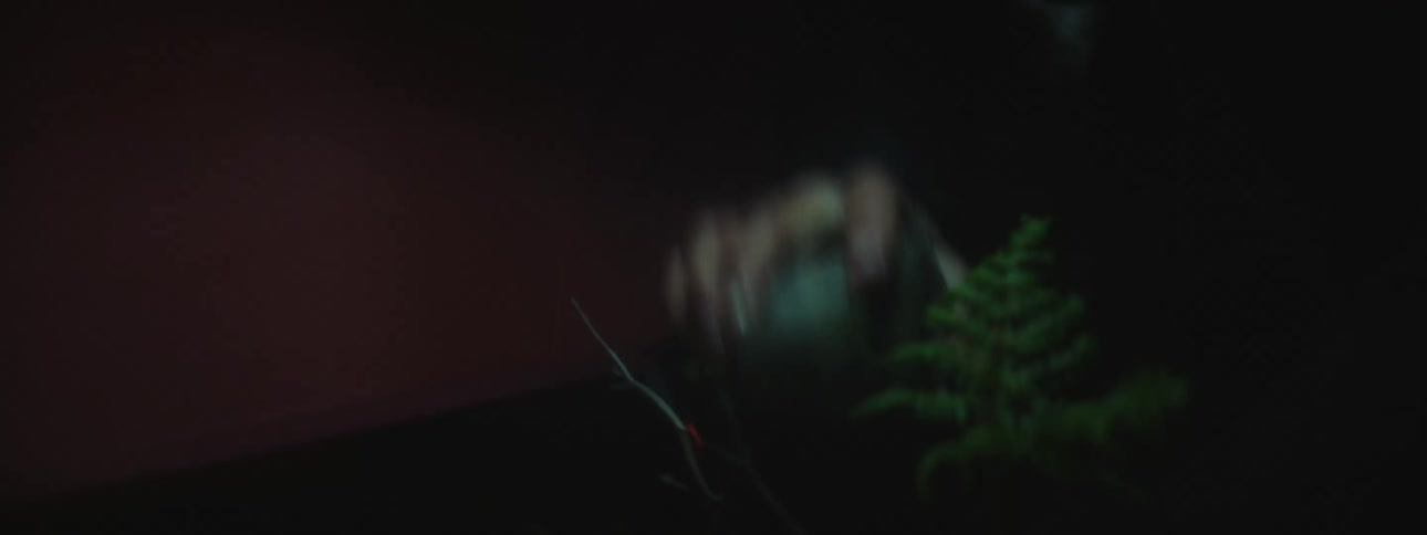 An erratic video at night of a person moving plants