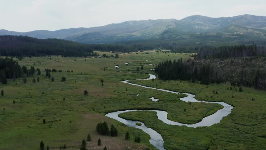 Aerial view of mountain valley with greenery come coniferous trees and a long stream going toward the mountain