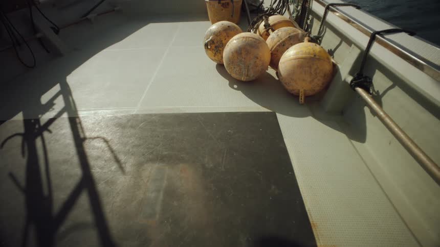 Shadow cast by laddermoves across bottom of boat near floats