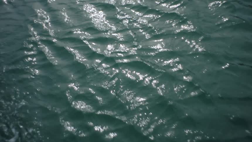 Sunlight is shining down on the body of water