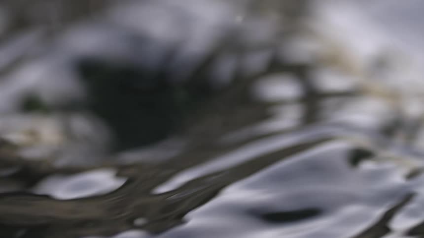 Water is poured into a pot