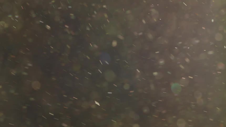 A cloud of small particles around in the air as theyre illuminated by bright light