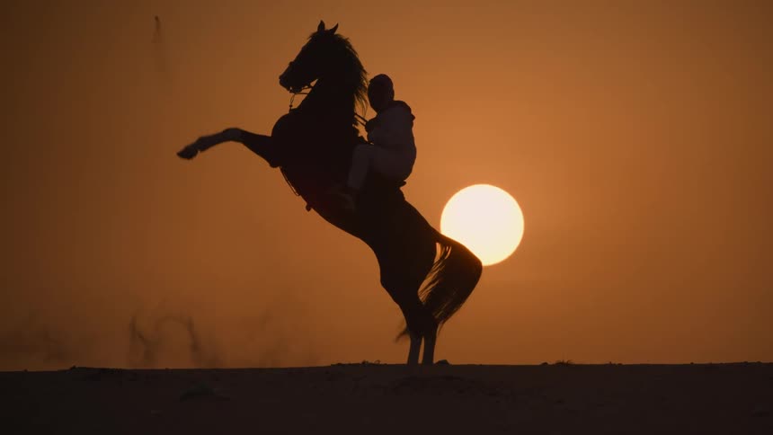 Silhouette of a person rearing a horse at sunsets golden hour near a yellow bright sun
