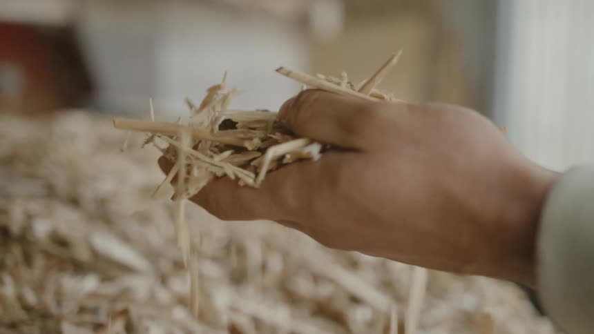 Close up of the hand of a person touching wood shavings