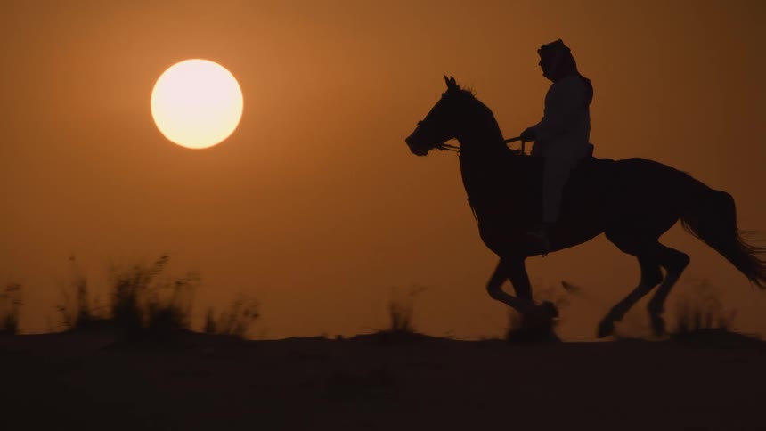 Silhouette of a person riding a horse outdoors