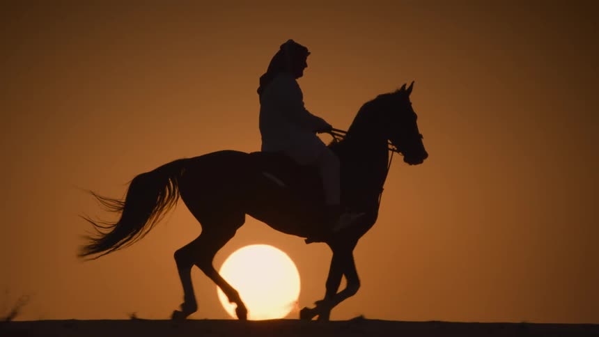 A person rides a horse against the background of the sun setting on the horizon