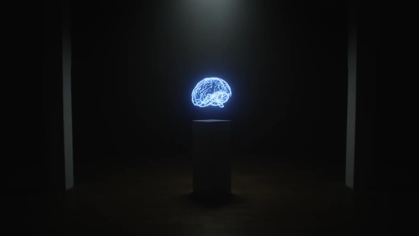 An image of a brain rotating on a screen in a black room