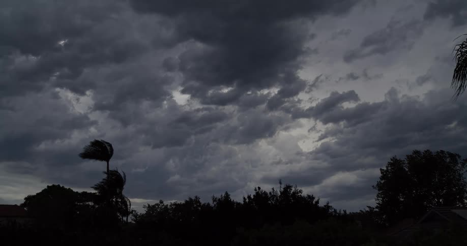 Storm clouds rolling in with palm trees blowing in the wind