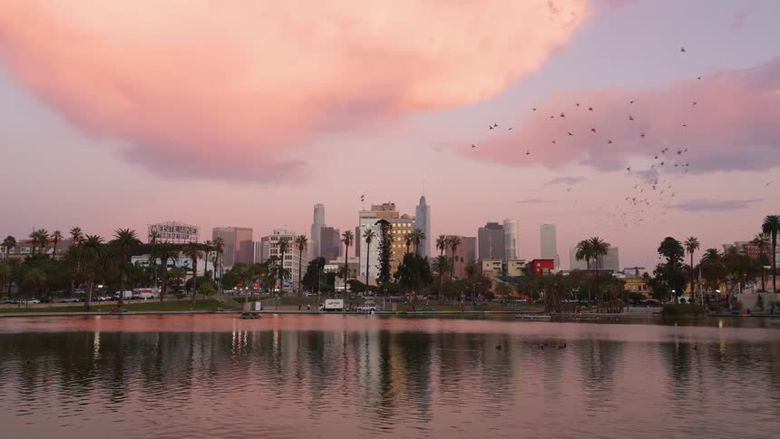 A panoramic view of a tropical city skyline near the water at dusk