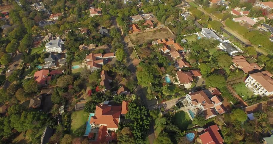 A tree filled neighborhood