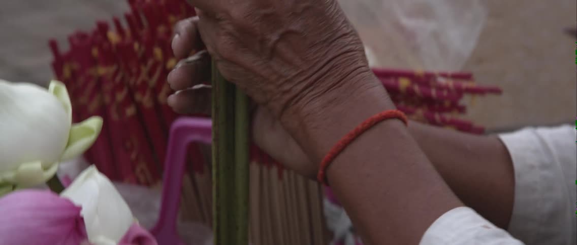A person picks three large flower stems in an outdoor market