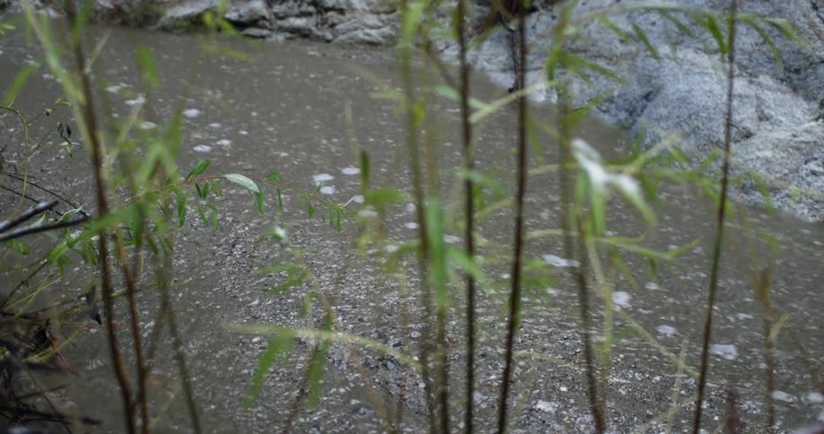 Water flowing past