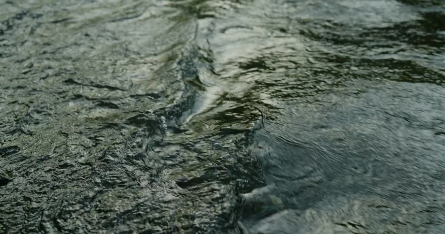 Light shines on water in a stream and it reflects on the ripples as it flows
