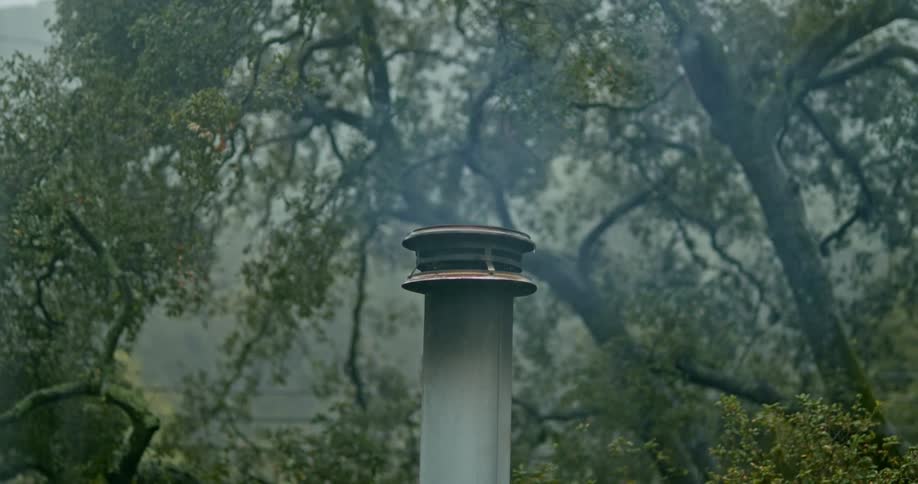 Vent stack with steam coming out surrounded by trees in the rain