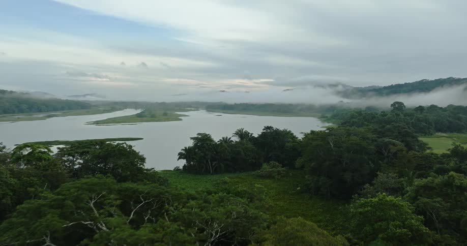Aerial view of tropical forest and river on a cloudy day
