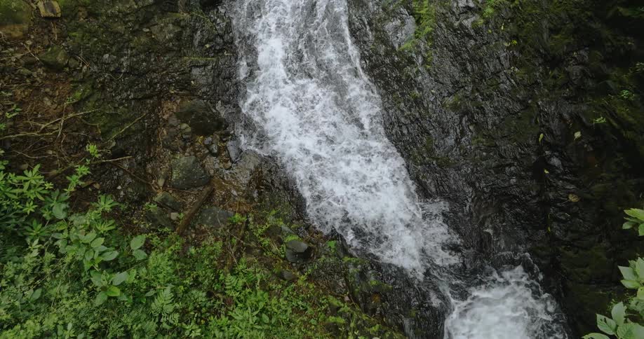 An aerial of water flowing through a ravine through a forest
