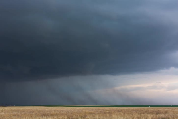 Storm clouds float over an open field