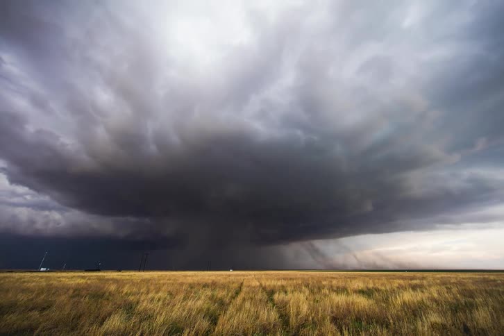 Storm clouds float over a field