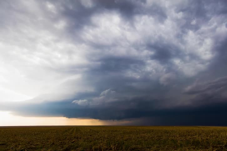 Storm clouds float over a field
