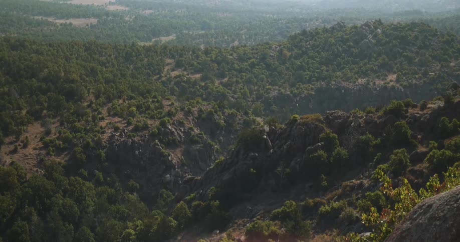 Trees cover a mountain landscape