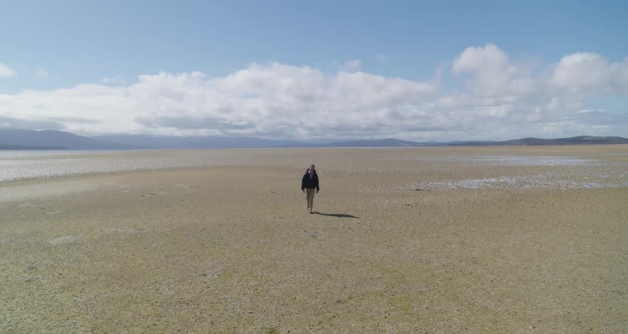 A person is walking through a desert landscape