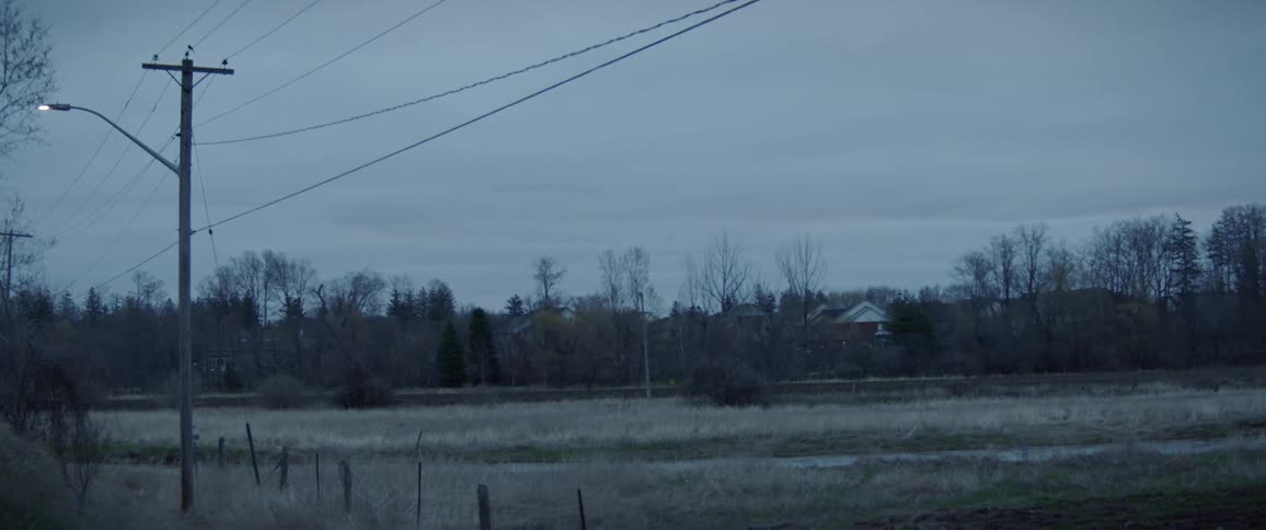 A house behind trees