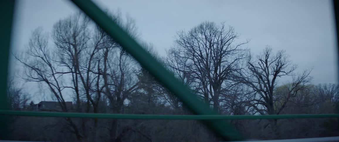 The landscape going by outside a car window