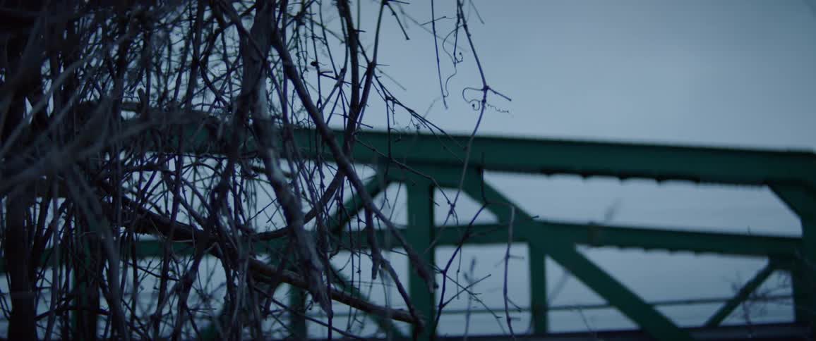 Tree branches with a bridge in the background