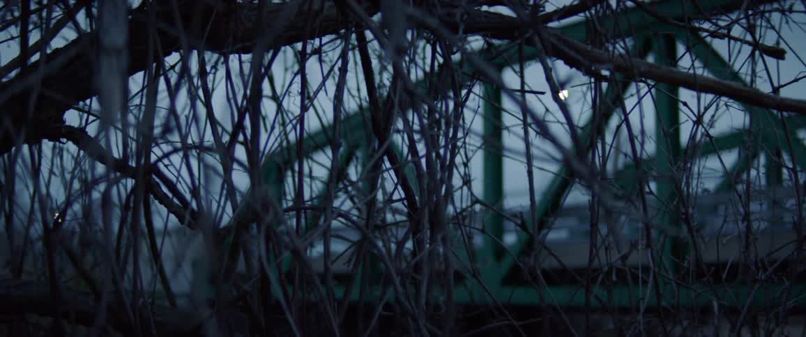 A car drives past a bridge covered in branches