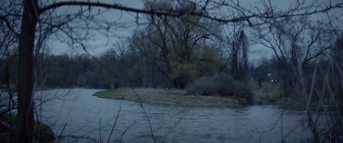A river with trees and a road with vehicles in the background