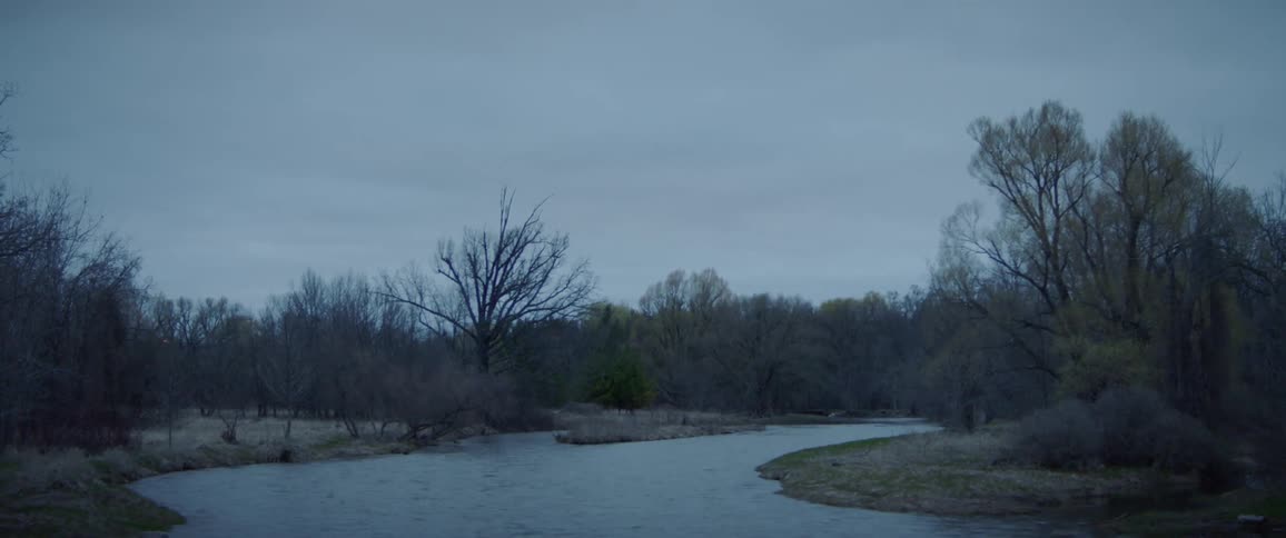 A river flowing between trees