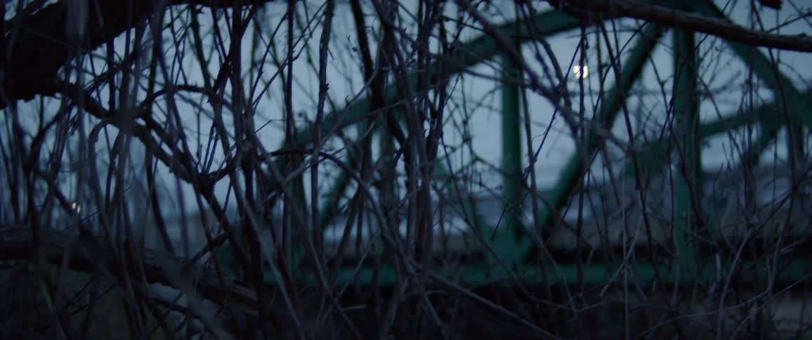 A car drives past a railing covered in branches