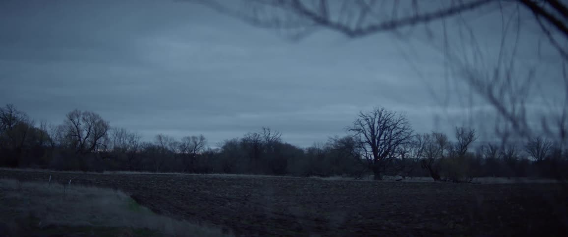 An empty field of grass surrounded by trees on a cloudy evening