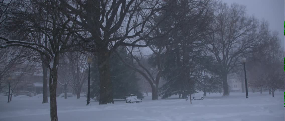 Snow falls on a park with trees and a bench