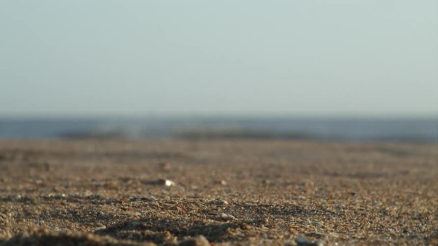Close up of sandy beach near the ocean