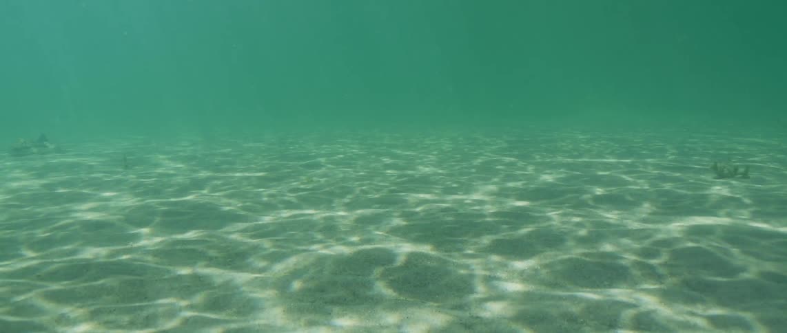 Sand on the ocean floor is displayed with sunlight
