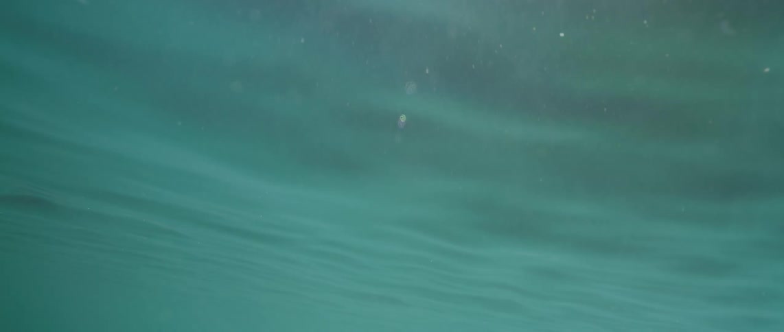 A view of water beneath the surface as sun reflects through